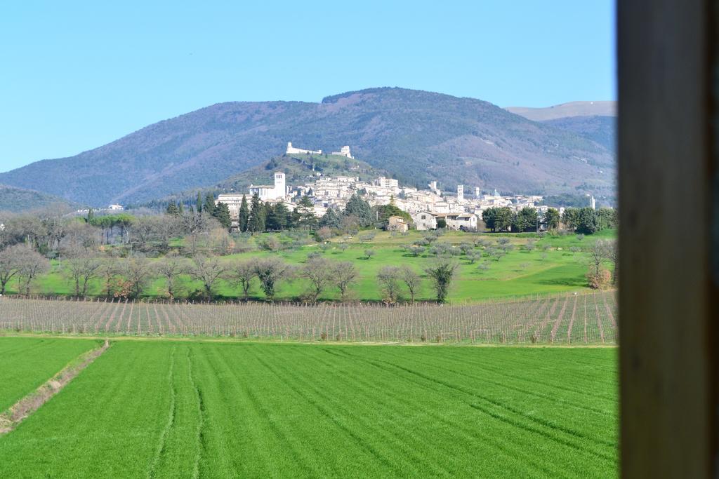 Camere I Monelli Assisi Ngoại thất bức ảnh