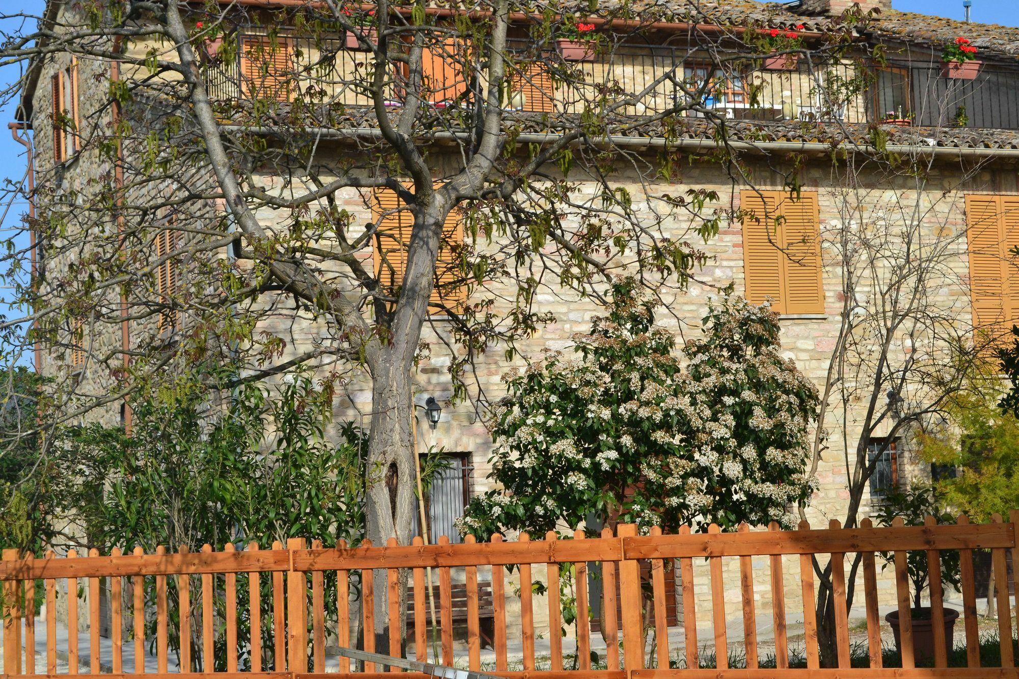 Camere I Monelli Assisi Ngoại thất bức ảnh
